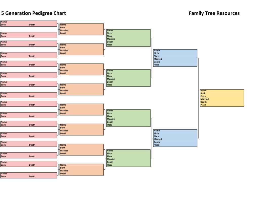 Genealogy Organizer Notebook-Large family tree with charts and forms: blank  family tree chart,ancestry tree organizer notebook , 5 generations chart